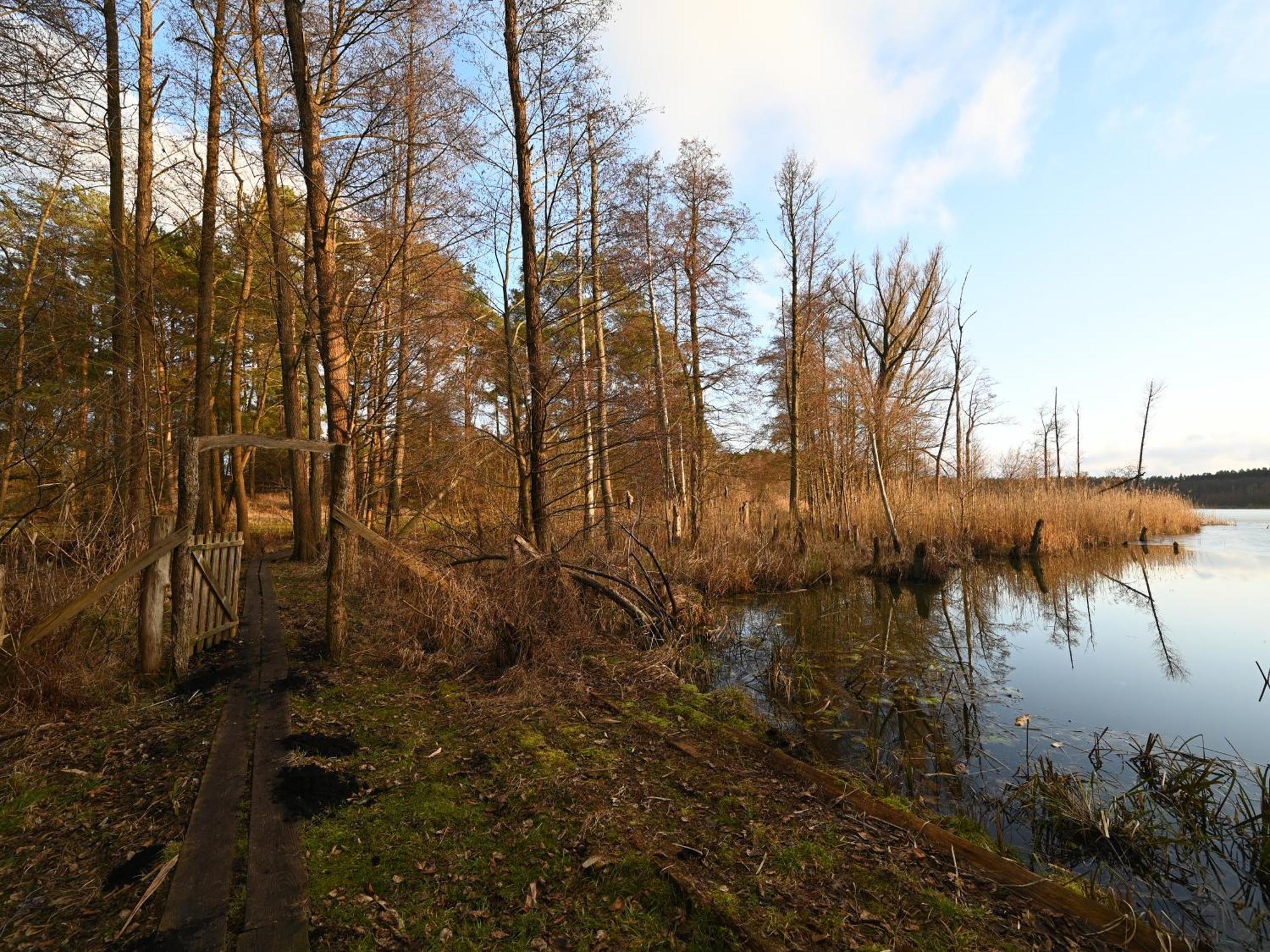 Ferienhaus-Park Brennickenswerder Lychen Eksteriør bilde