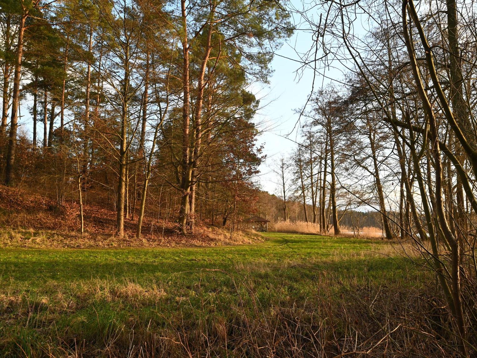 Ferienhaus-Park Brennickenswerder Lychen Eksteriør bilde